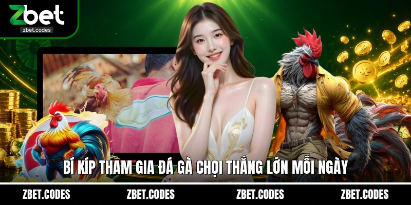 Đá Gà Chọi: Luật Chơi Chi Tiết Và Mẹo Cược Từ Chuyên Gia 4 Bí kíp tham gia đá gà chọi thắng lớn mỗi ngày