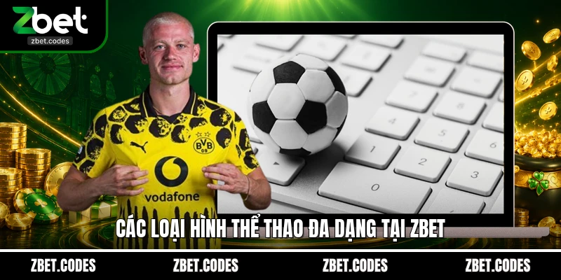 Saba Sports - Bùng Nổ Trải Nghiệm Cá Cược Thể Thao Toàn Cầu 3 Các loại hình thể thao đa dạng tại ZBET