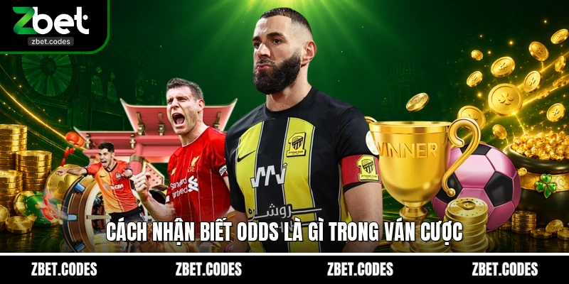 Odds Là Gì? Giải Mã Bản Chất Tỷ Lệ Kèo Trong Cá Cược 3 Cách nhận biết Odds là gì trong ván cược