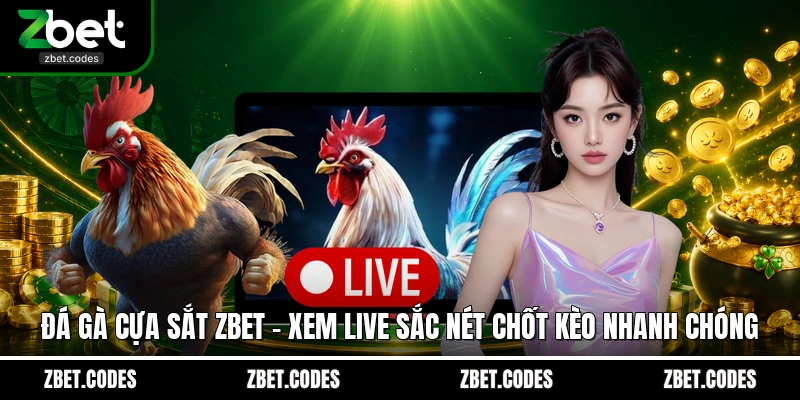 Đá Gà Cựa Sắt ZBET – Xem Live Sắc Nét Chốt Kèo Nhanh Chóng 1 Đá Gà Cựa Sắt