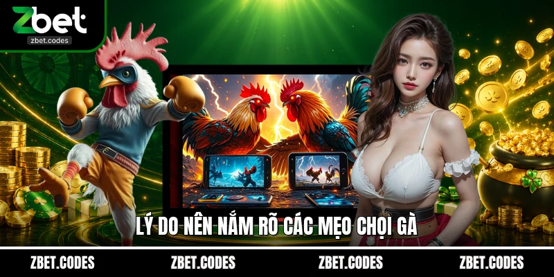 Mẹo Cược Đá Gà Và Chiến Thuật Thắng Lớn Từ Cao Thủ 3 Lý do nên nắm rõ các mẹo chọi gà