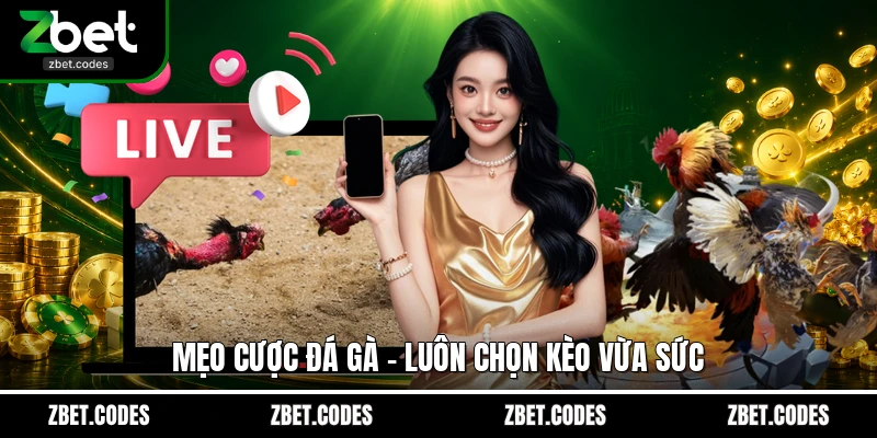 Mẹo Cược Đá Gà Và Chiến Thuật Thắng Lớn Từ Cao Thủ 4 Mẹo cược đá gà - luôn chọn kèo vừa sức