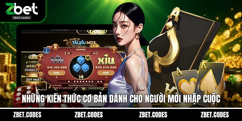 Tài Xỉu - Sức Hấp Dẫn Khó Cưỡng Tại Thương Hiệu ZBET 2 Những kiến thức cơ bản dành cho người mới nhập cuộc