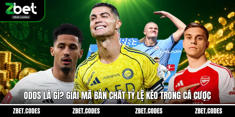 Odds Là Gì? Giải Mã Bản Chất Tỷ Lệ Kèo Trong Cá Cược 1 Odds là gì