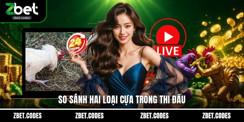 Đá Gà Cựa Sắt ZBET – Xem Live Sắc Nét Chốt Kèo Nhanh Chóng 4 So sánh hai loại cựa trong thi đấu