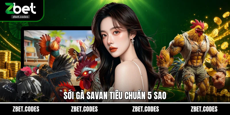 Trường Gà Savan: Thánh Địa Cá Cược Đá Gà Đỉnh Cao 2026 2 Sới gà Savan tiêu chuẩn 5 sao