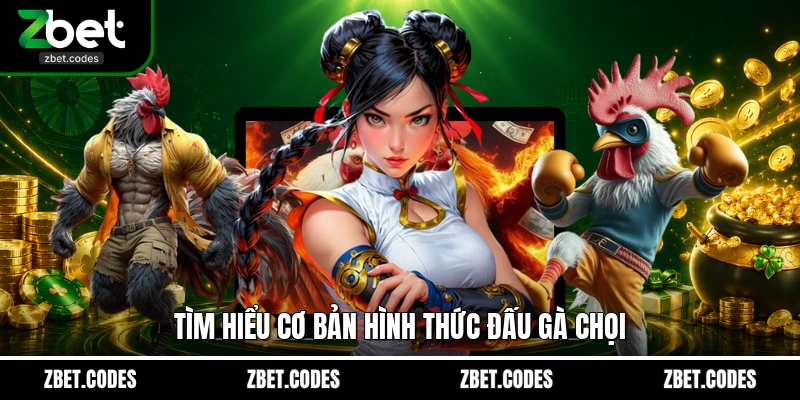 Đá Gà Chọi: Luật Chơi Chi Tiết Và Mẹo Cược Từ Chuyên Gia 2 Tìm hiểu cơ bản hình thức đấu gà chọi