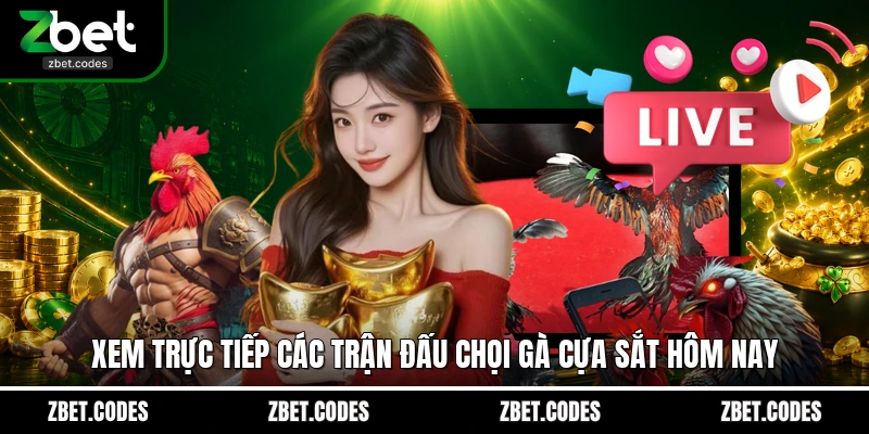 Đá Gà Cựa Sắt ZBET – Xem Live Sắc Nét Chốt Kèo Nhanh Chóng 3 Xem trực tiếp các trận đấu chọi gà cựa sắt hôm nay